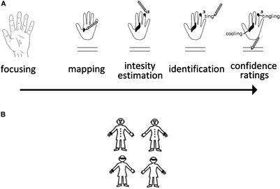 Feeling Oneself Requires Embodiment: Insights From the Relationship Between Own-Body Transformations, Schizotypal Personality Traits, and Spontaneous Bodily Sensations